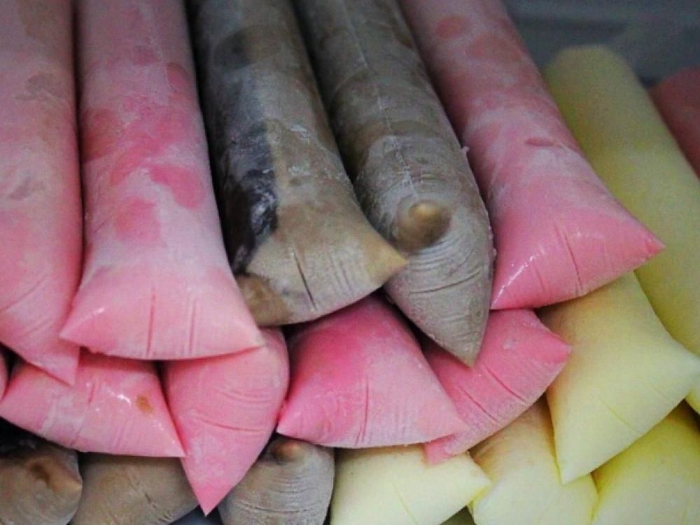 Chup Chup Gourmet Delícias Geladas e Lucrativas