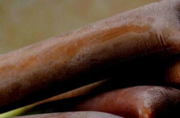 O Melhor Geladinho de Chocolate